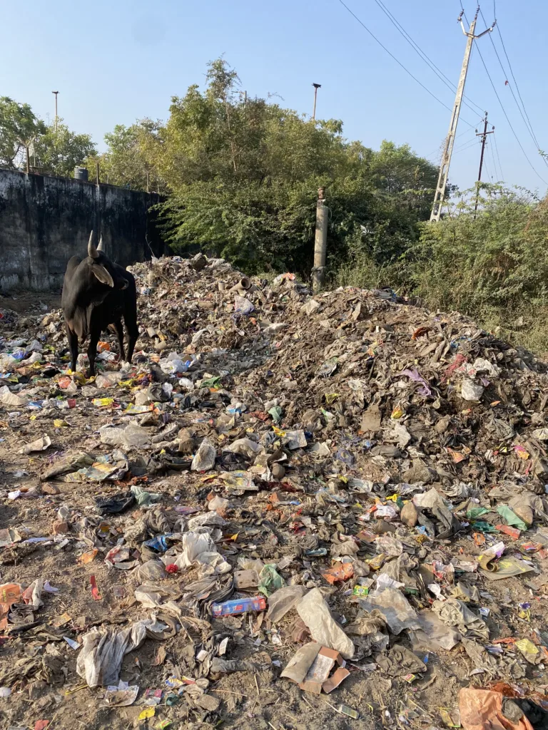 DFT and ONGC’s commitment to Corporate Environmental Responsibility(CER) | Drishti Foundation Trust IMG 6541 scaled